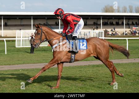 Phoenix Risen, entraîné par Jeremy Scott et monté par Rex Dingle, court dans la haie handicap à Wincanton, le 21 mars 2022 Banque D'Images