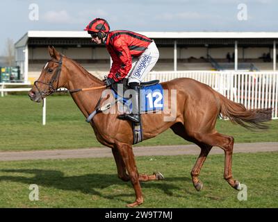 Phoenix Risen, entraîné par Jeremy Scott et monté par Rex Dingle, court dans la haie handicap à Wincanton, le 21 mars 2022 Banque D'Images