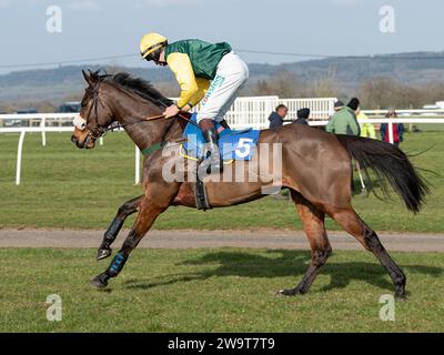 Crosspoint, détenu et élevé par Caroline Hobbs, entraîné par le Dr Jeremy Naylor, monté par Thomas Doggrell, courant sur haies à Wincanton le 21 mars Banque D'Images