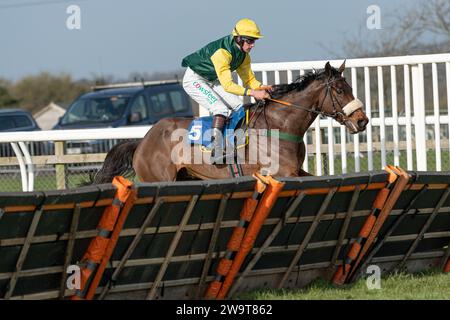 Crosspoint, détenu et élevé par Caroline Hobbs, entraîné par le Dr Jeremy Naylor, monté par Thomas Doggrell, courant sur haies à Wincanton le 21 mars Banque D'Images