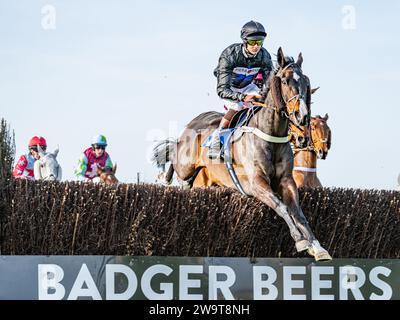 Coup de Pinceau, monté par Brendan Powell et entraîné par Colin Tizzard, traverse les clôtures à Wincanton Banque D'Images