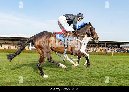 Coup de Pinceau, monté par Brendan Powell et entraîné par Colin Tizzard, en course dans la poursuite class 4 Steeple à Wincanton, le 21 mars 2022 Banque D'Images