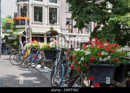 Plusieurs vélos garés sur un pont avec des fleurs dans le centre de la ville d'Utrecht. Banque D'Images