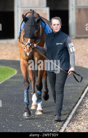 Lord of Cheshire, monté par Finn Lambert et entraîné par Nigel Twiston-Davies, remportant la haie du handicap à Wincanton, le 21 mars 2022 Banque D'Images