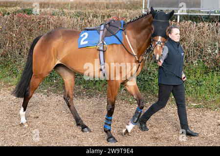 Lord of Cheshire, monté par Finn Lambert et entraîné par Nigel Twiston-Davies, remportant la haie du handicap à Wincanton, le 21 mars 2022 Banque D'Images