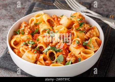 Délicieux pâtes maison mezze maniche avec viande tomate sauce bolognaise closeup sur l'assiette sur la table. Horizontal Banque D'Images