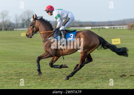 Megaudais Speed gagne à Wincanton, monté par Gavin Sheehan et entraîné par Laura Young, le 21 mars 2022 Banque D'Images