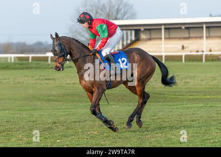 Comeragh Lad, monté par David Pichard et entraîné par Ryan Chapman, courant sur haies à Wincanton, le 21 mars 2022 Banque D'Images