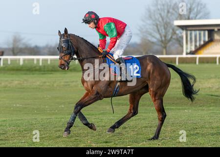 Comeragh Lad, monté par David Pichard et entraîné par Ryan Chapman, courant sur haies à Wincanton, le 21 mars 2022 Banque D'Images