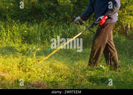 Jardinier tond une pelouse verte avec une tondeuse à gazon à main. Banque D'Images