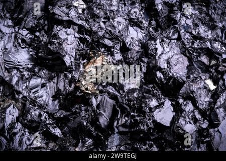 sphalérite noire avec pyrite dorée. arrière-plan de texture de détail macro. gros plan brut brut non poli pierre semi-précieuse Banque D'Images