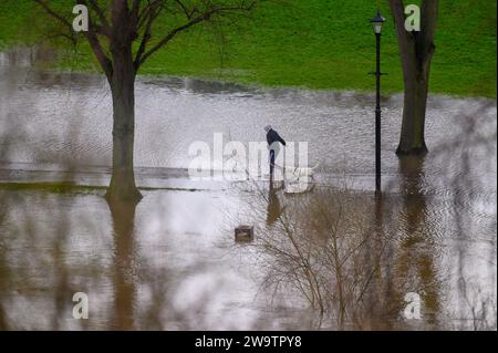 Promeneur de chiens marchant le long de la rivière Severn, qui a éclaté ses rives et inondé une partie du Quarry Park à Shrewsbury, Shropshire. Banque D'Images