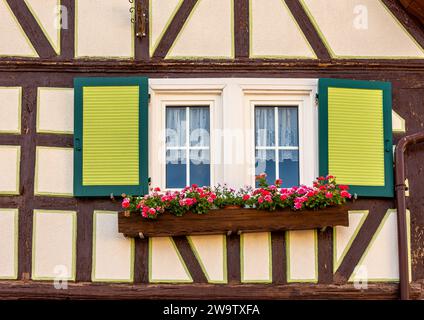 Fenêtres fleuries avec volets dans la façade historique à colombages Banque D'Images