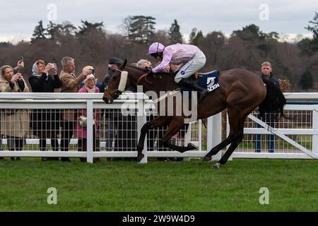 Ascot, Royaume-Uni. 23 décembre 2023. Horse Harper's Brooke (IRE) monté par le jockey Kielan Woods mène dans le Howden handicap Steeple Chase à l'hippodrome d'Ascot lors du meeting Howden Christmas Racing Weekend. Propriétaire les Megsons. Entraîneur Ben Pauling, Naunton. Parrainez Fitzdares. Crédit : Maureen McLean/Alamy Banque D'Images