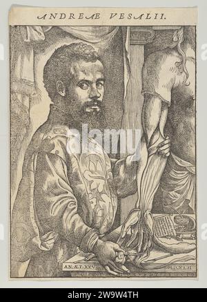 Portrait d'Andreas Vesalius, demi-longueur de profil debout devant une table disséquant le bras d'un corps ; frontispice à Andreas Vesalius 'de humani corporis fabrica libri septemt' 1980 par Jean de Calcar (John Stephen Calcar) Banque D'Images