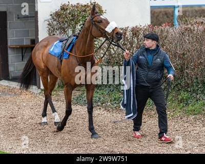 Maliboo, monté par Sam Twiston-Davies et entraîné par Neil Mulholland, couru à Wincanton au-dessus des clôtures, le 10 mars 2022 Banque D'Images