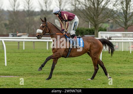 Maliboo, monté par Sam Twiston-Davies et entraîné par Neil Mulholland, couru à Wincanton au-dessus des clôtures, le 10 mars 2022 Banque D'Images