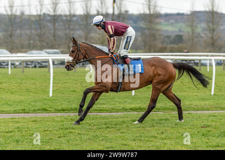 Maliboo, monté par Sam Twiston-Davies et entraîné par Neil Mulholland, couru à Wincanton au-dessus des clôtures, le 10 mars 2022 Banque D'Images