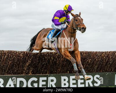 King Orry, monté par Sean Houlihan et entraîné par Susan Gardner, couru à Wincanton au-dessus des clôtures, le 10 mars 2022 Banque D'Images