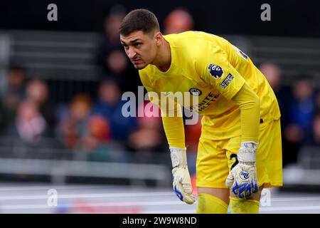 Kenilworth Road, Luton, Bedfordshire, Royaume-Uni. 30 décembre 2023. Premier League football, Luton Town contre Chelsea ; Djordje Petrovic de Chelsea crédit : action plus Sports/Alamy Live News Banque D'Images