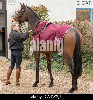 Wrong Shape ball, monté par James Bowen et entraîné par Nicky Martin, course au haies à Wincanton, le 10 mars 2022 Banque D'Images