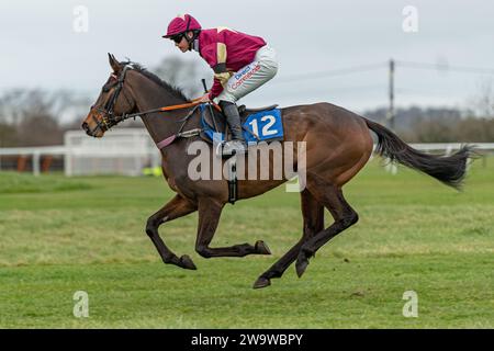 Wrong Shape ball, monté par James Bowen et entraîné par Nicky Martin, course au haies à Wincanton, le 10 mars 2022 Banque D'Images