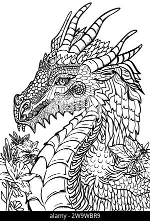 La page de coloration de dessin de main de vecteur de Dragon , noir et blanc , sur fond blanc isolé Banque D'Images