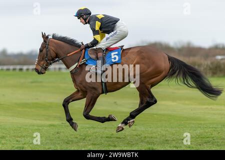 Talkaboutit, monté par Brendan Powell et entraîné par Colin Tizzard, remporte la haie du handicap à Wincanton, le 10 mars 2022 Banque D'Images