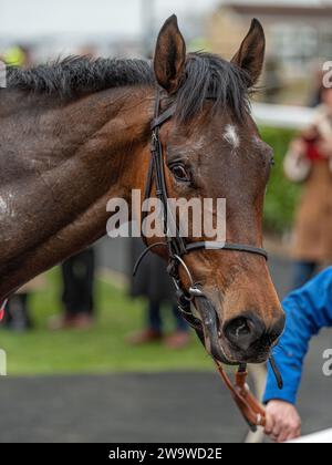 Talkaboutit, monté par Brendan Powell et entraîné par Colin Tizzard, remporte la haie du handicap à Wincanton, le 10 mars 2022 Banque D'Images