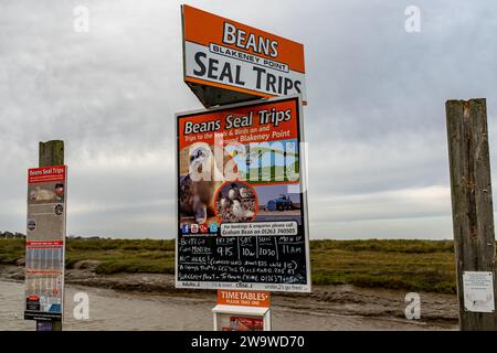 Blakeney, Norfolk, Royaume-Uni – décembre 29 2023. Seal regardant les publicités de voyage sur le quai et le front de mer Banque D'Images