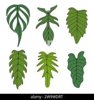 Ensemble d'illustration en couleur avec des feuilles de plante monstera creeper. Objets vectoriels isolés sur fond blanc. Illustration de Vecteur