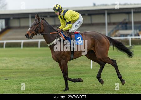 Bold Conduct, monté par Brendan Powell et entraîné par Colin Tizzard, en course à Wincanton, le 10 mars 2022 Banque D'Images