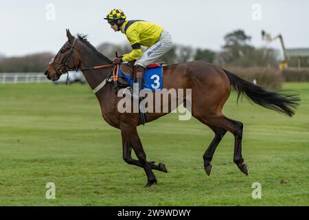 Bold Conduct, monté par Brendan Powell et entraîné par Colin Tizzard, en course à Wincanton, le 10 mars 2022 Banque D'Images