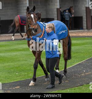 Lanspark, monté par Brendan Powell et entraîné par Colin Tizzard, courant sur haies à Wincanton, le 10 mars 2022 Banque D'Images