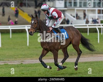 San Pedro, monté par Nick Scholfield et entraîné par Paul Henderson, en course à Wincanton, le 10 mars 2022 Banque D'Images