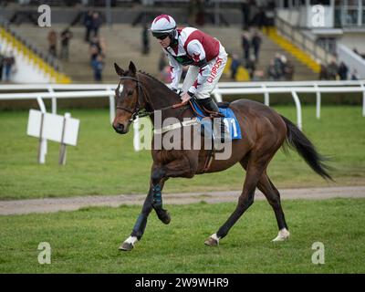 San Pedro, monté par Nick Scholfield et entraîné par Paul Henderson, en course à Wincanton, le 10 mars 2022 Banque D'Images