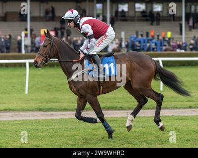 San Pedro, monté par Nick Scholfield et entraîné par Paul Henderson, en course à Wincanton, le 10 mars 2022 Banque D'Images