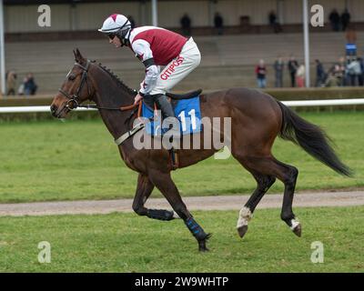 San Pedro, monté par Nick Scholfield et entraîné par Paul Henderson, en course à Wincanton, le 10 mars 2022 Banque D'Images