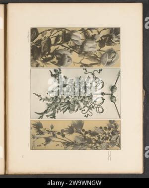 Trois surfaces avec des tulipes, un platane et un feston avec des fruits, c. 1887 - en 1897 ou avant imprimeur photomécanique : Austriapublisher : ornement collotype de papier de Vienne  feston, guirlande. fleurs : tulipe. fruits Banque D'Images