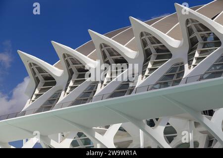 Valence, Espagne - 14 août 2023 : détail de la façade du Musée des Sciences de Valence, Espagne. Banque D'Images