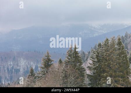 Vue sur un paysage de montagne en hiver avec de la neige et une forêt Spruce commun (Picea abies) Banque D'Images