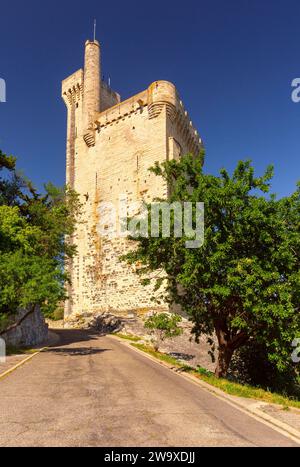 Tour médiévale de Philippe la Foire, Villeneuve-les-Avignon, sud de la France Banque D'Images