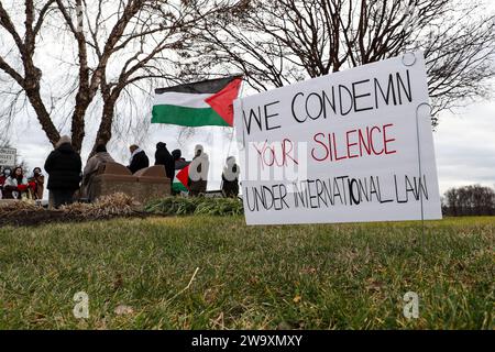 Harrisburg, États-Unis. 30 décembre 2023. Les partisans de la Palestine se rassemblent près de la résidence du gouverneur de Pennsylvanie à Harrisburg, Pennsylvanie, le 30 décembre 2023. Les manifestants ont placé plus de 20 000 drapeaux le long de Front Street, un pour chaque personne tuée à Gaza depuis le début de la guerre Israël-Hamas. (Photo de Paul Weaver/Sipa USA) crédit : SIPA USA/Alamy Live News Banque D'Images