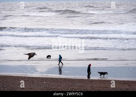 Hastings, East Sussex. 31 décembre 2023. Promeneurs de chiens sur un mouillé blustère début de la journée le réveillon du nouvel an, à Hastings Harbour. C.Clarke/Alamy Live News Banque D'Images