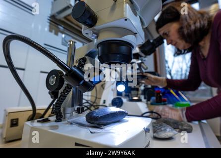 PRODUCTION - 21 décembre 2023, Saxe-Anhalt, Halle (Saale) : une hache de pierre repose sous un microscope dans un laboratoire de l'Université de Halle. Des scientifiques dirigés par l'archéologue Laura Dietrich (à droite) examinent les traces de haches de pierre de la riche collection du Musée d'État de Préhistoire de Halle. Des doublons ont été faits de chacune des pièces originales sélectionnées. Ces copies sont utilisées pour travailler sur divers matériaux tels que le bois et l'os. Les traces d'utilisation sur les copies sont ensuite comparées aux originaux. Les scientifiques veulent savoir quel rôle les outils ont joué lorsque les gens se sont installés à centra Banque D'Images