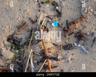 Petits débris de plastique micro-plastique échoués sur la plage de sable Banque D'Images