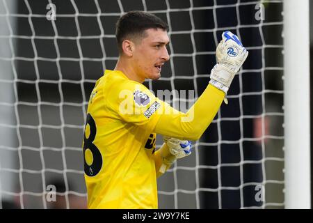 Le gardien Djordje Petrovic (28 ans) de Chelsea lors du match de Premier League entre Luton Town et Chelsea à Kenilworth Road, Luton, Angleterre le 30 décembre 2023. Photo de David Horn. Banque D'Images