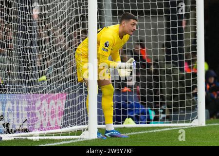 Le gardien Djordje Petrovic (28 ans) de Chelsea lors du match de Premier League entre Luton Town et Chelsea à Kenilworth Road, Luton, Angleterre le 30 décembre 2023. Photo de David Horn. Banque D'Images