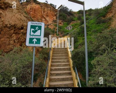 Panneau tsunami à côté d'un escalier menant à une plage avec quelques lampadaires et une végétation basse. Banque D'Images