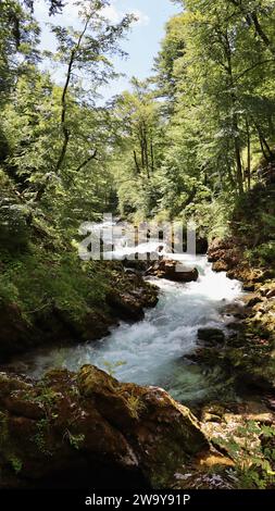 Gorge de Vintgar Slovénie Europe Banque D'Images